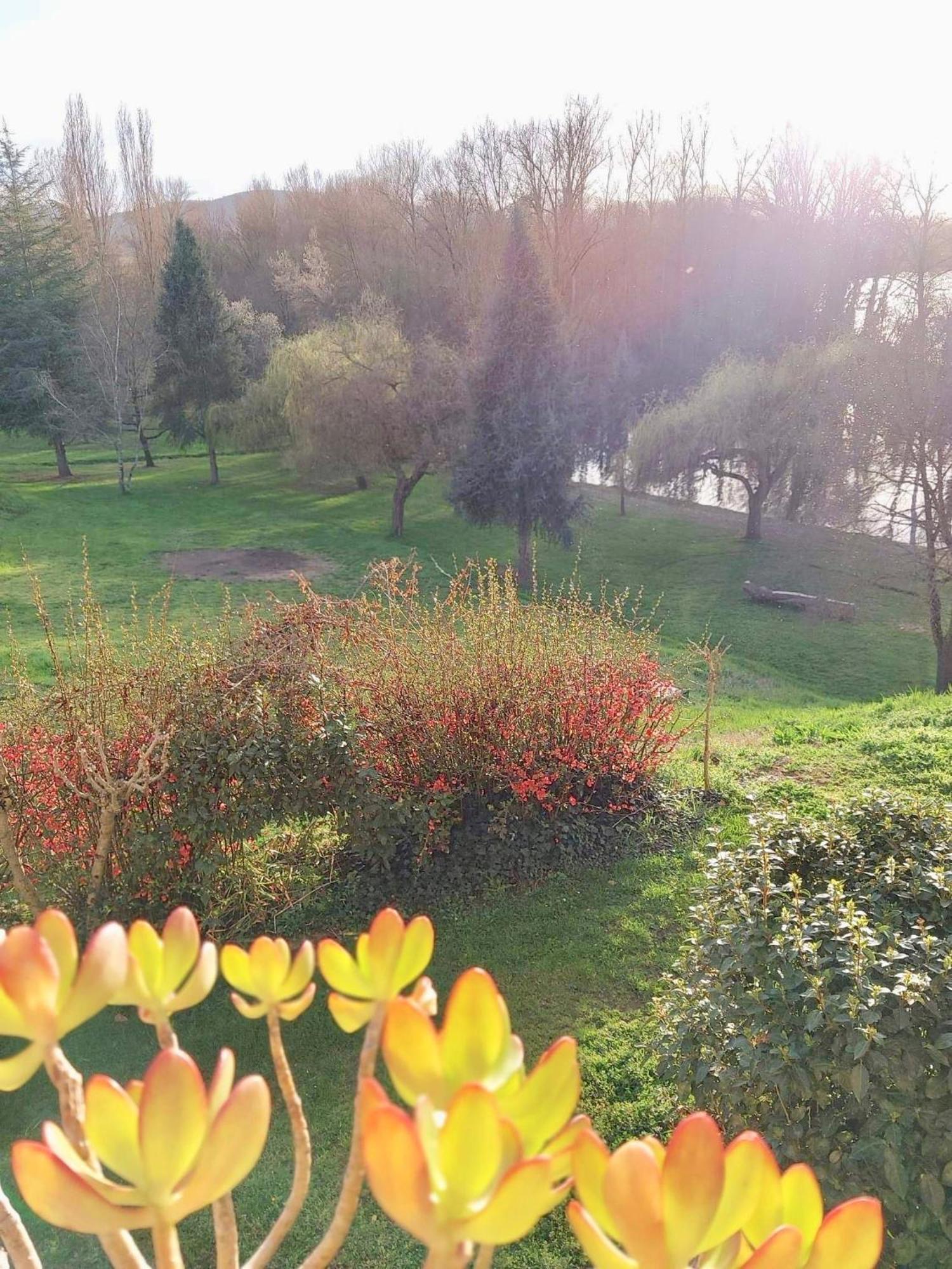 Couladere Beautiful Village House Next To Garonne River! מראה חיצוני תמונה